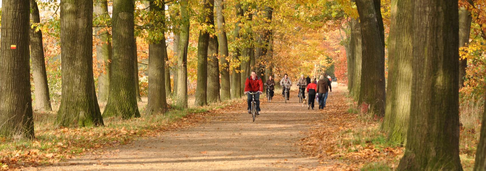 De Wortel Kolonie - Kolonie 5-7 | Koloniën van Weldadigheid : De landbouwkolonie van wortel werd opgericht in 1822 als een vrije kolonie, naar het voorbeeld van de kolonie besloeg meer dan 500 hectare grond!