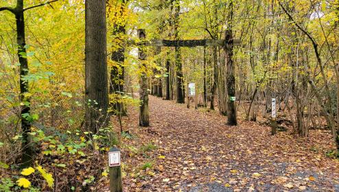 Foto van Drongengoedbos