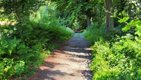 Foto van Kluisbos