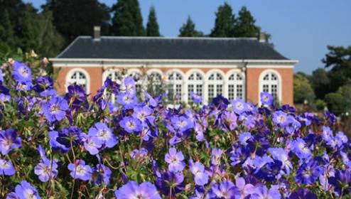Foto van Oranjerie De Vlinder - Vordenstein