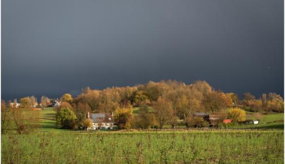 Foto van Oproep Ambulante handel Preshoekbos Kortrijk