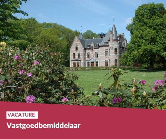 Foto van Vacature Vastgoedbemiddelaar