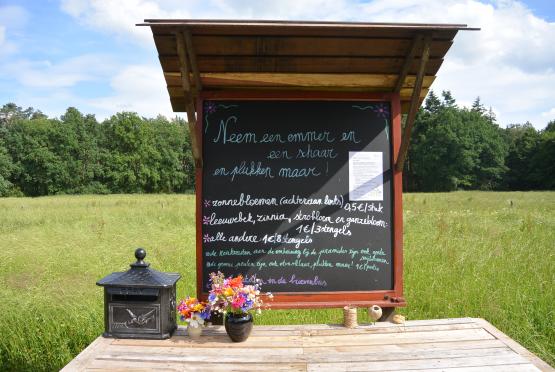 Foto van Talander opent plukweide in Arendonk